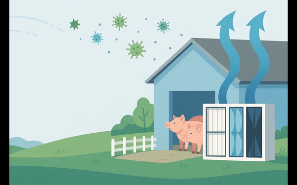 Effective Air Filtration: A Proven Shield Against Porcine Reproductive and Respiratory Syndrome