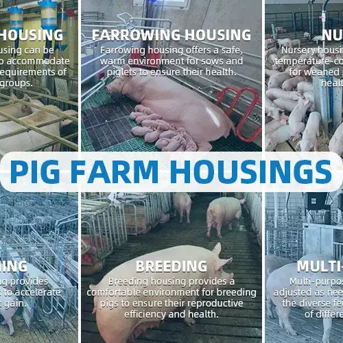 Air Filtration: A Key Defense Against African Swine Fever in Southeast Asia Pig Farms