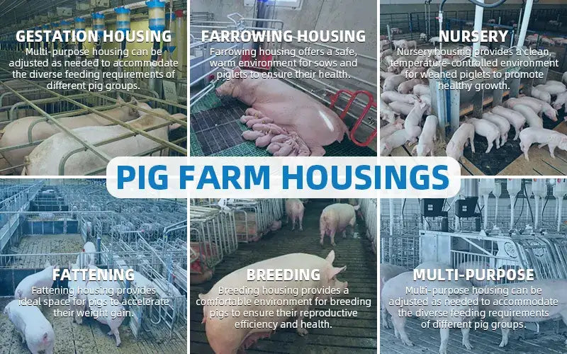 Air Filtration: A Key Defense Against African Swine Fever in Southeast Asia Pig Farms