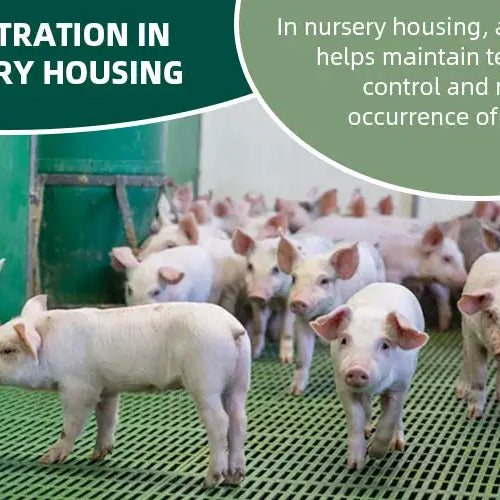 Air Filtration in Pig Farm Nursery Housing – A Comprehensive Guide