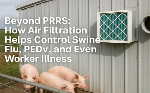 Beyond PRRS: How Air Filtration Helps Control Swine Flu, PEDv, and Even Worker Illness