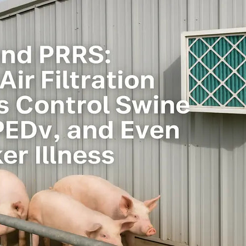Beyond PRRS: How Air Filtration Helps Control Swine Flu, PEDv, and Even Worker Illness