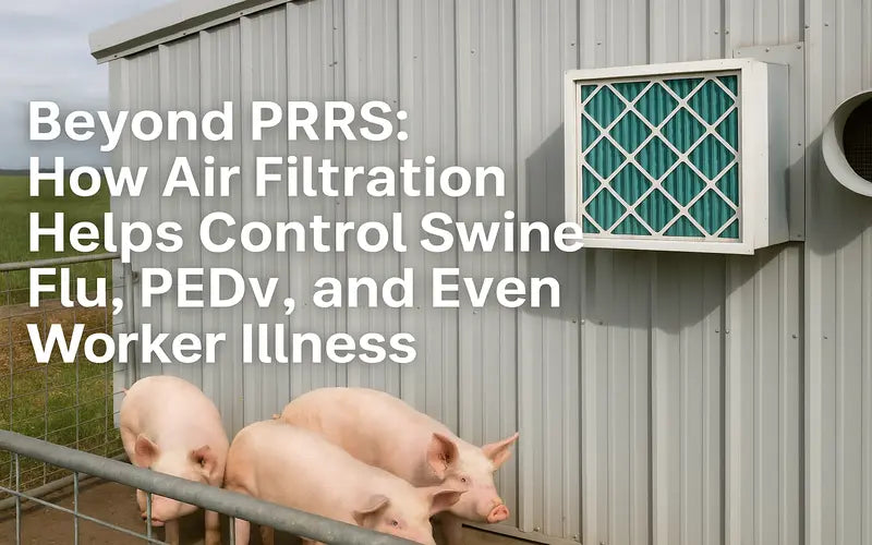 Beyond PRRS: How Air Filtration Helps Control Swine Flu, PEDv, and Even Worker Illness