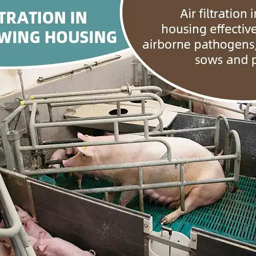 Farrowing Housing Air Filtration: Benefits &amp; Systems