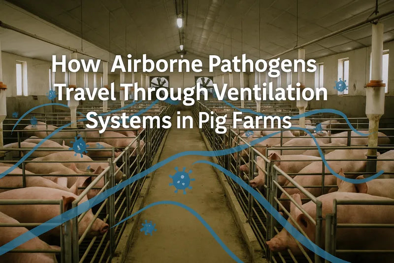 How Airborne Pathogens Travel Through Ventilation Systems in Pig Farms