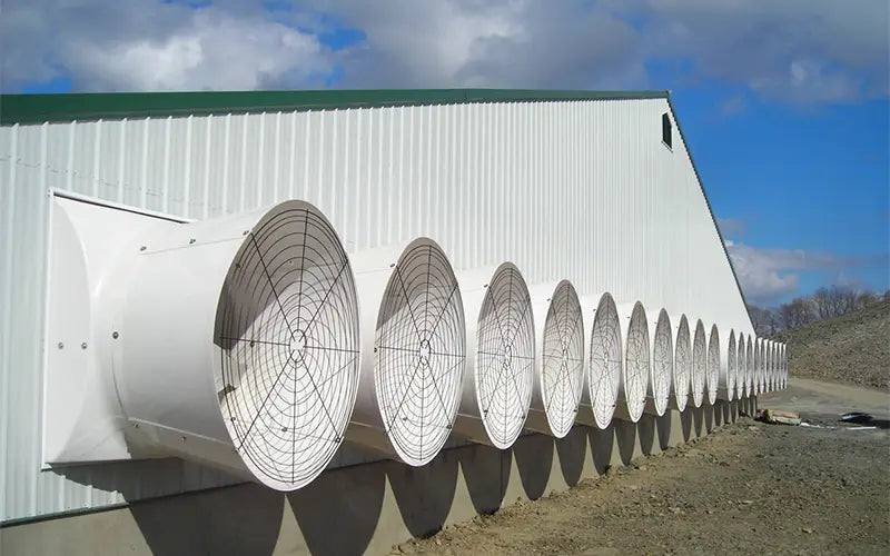 Positive Pressure Ventilation System in Pig Farms: Benefits and Applications