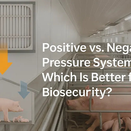 Positive vs. Negative Pressure Systems: Which Is Better for Biosecurity?