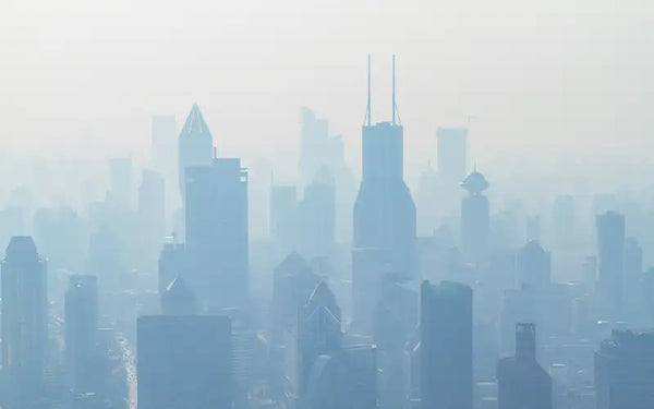 What Is PM 2.5? Understanding Tiny Particles That Impact Air Quality
