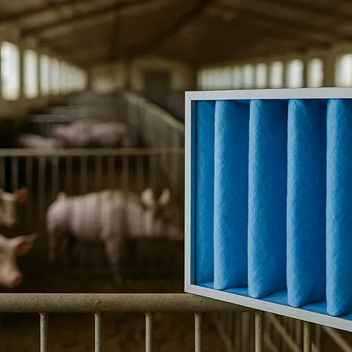 Why Prefilters Are Essential in Livestock Ventilation