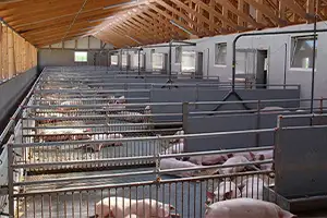 air filters in swine farming industry - pig barn